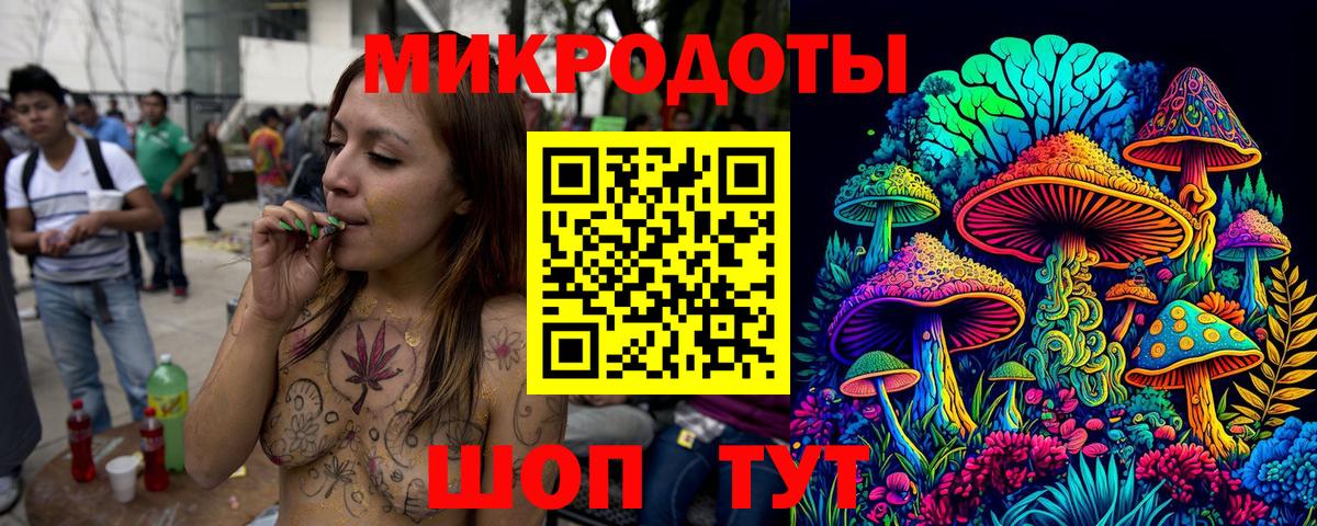 Псилоцибиновые грибы GOLDEN TEACHER  Вход с VPN  где купить наркотик  Псилоцибиновые грибы мухоморы  Чистополь 