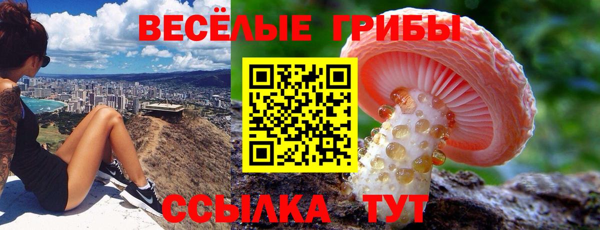 Псилоцибиновые грибы Magic Shrooms Чистополь
